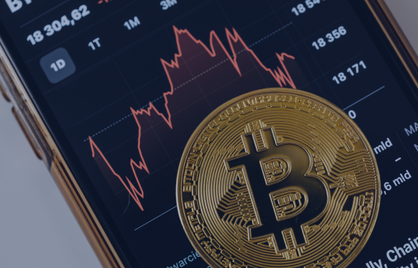 מודול 4 | חדשנות וכלכלה מבוזרת